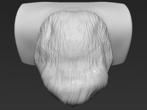 elvis presley bust ready for full color 3d printing 3D Print Model