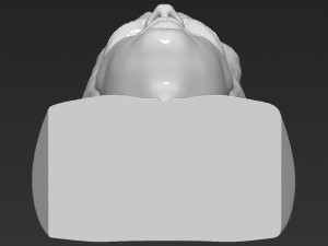 elvis presley bust ready for full color 3d printing 3D Print Model