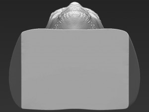 50 cent bust 3d printing ready stl obj 3D-printmodel