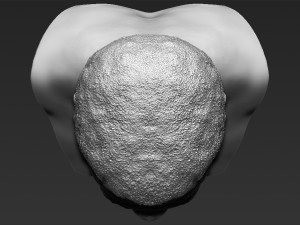 muhammad ali bust 3d printing ready stl obj 3D Print Model