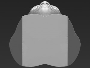 muhammad ali bust 3d printing ready stl obj 3D Print Model