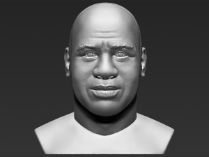 magic johnson bust 3d printing ready stl obj 3D Print Model