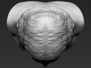 jesus reconstruction based on shroud of turin 3d printing ready 3D प्रिंट मॉडल