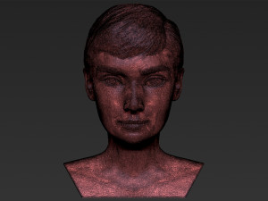 audrey hepburn bust 3d printing ready stl obj formats 3D प्रिंट मॉडल
