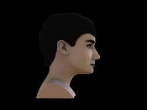 audrey hepburn black and white bust for full color 3d printing 3Dプリントモデル
