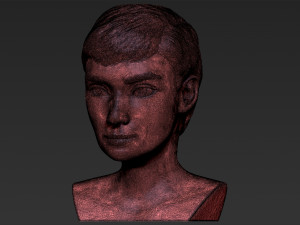audrey hepburn black and white bust for full color 3d printing 3Dプリントモデル
