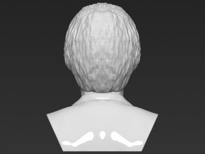paul mccartney bust 3d printing ready stl obj 3Dプリントモデル