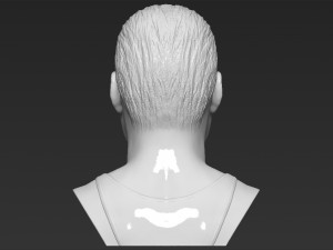 freddie mercury bust 3d printing ready stl obj formats Model do druku 3D