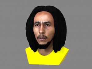 bob marley bust ready for full color 3d printing 3D 프린트 모델