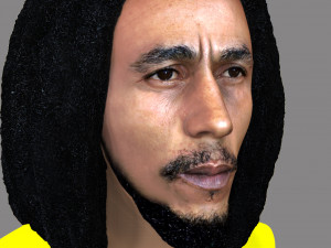 bob marley bust ready for full color 3d printing 3D 프린트 모델