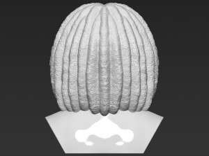 bob marley bust ready for full color 3d printing 3D 프린트 모델