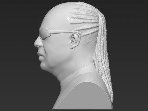 stevie wonder bust 3d printing ready stl obj formats Modèles 3D en vedette