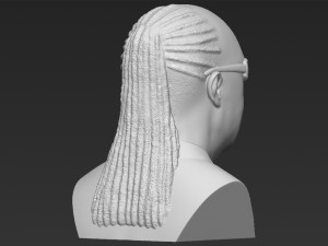 stevie wonder bust 3d printing ready stl obj formats Modèles 3D en vedette