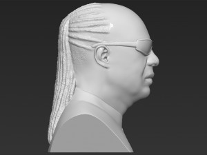 stevie wonder bust 3d printing ready stl obj formats Modèles 3D en vedette