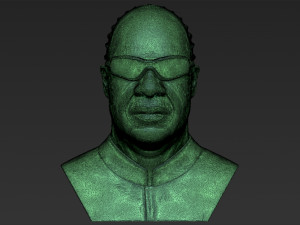 stevie wonder bust 3d printing ready stl obj formats Modèles 3D en vedette