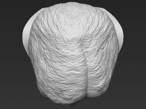 princess diana bust 3d printing ready stl obj formats 3D Baskı Modeli