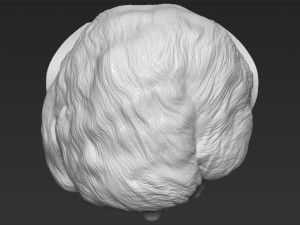 marilyn monroe bust 3d printing ready stl obj formats 3D प्रिंट मॉडल