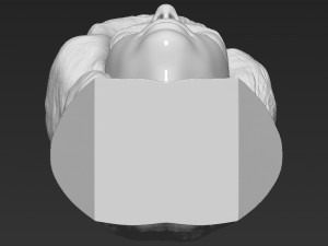 marilyn monroe bust 3d printing ready stl obj formats 3D प्रिंट मॉडल