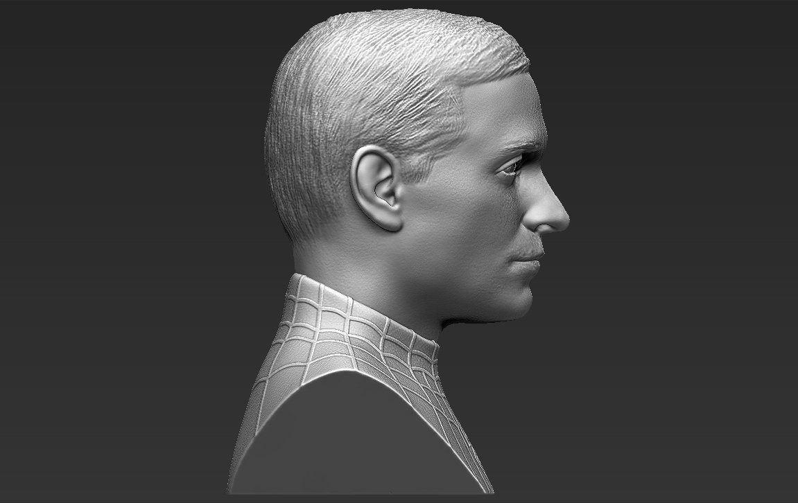 STL file Tobey Maguire - SPIDER-MAN 🦸・3D printable model to