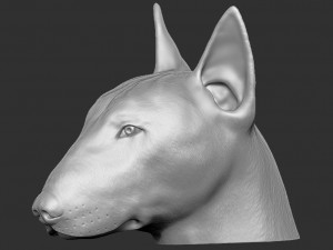 bull terrier dog head for 3d printing 3D Print Model