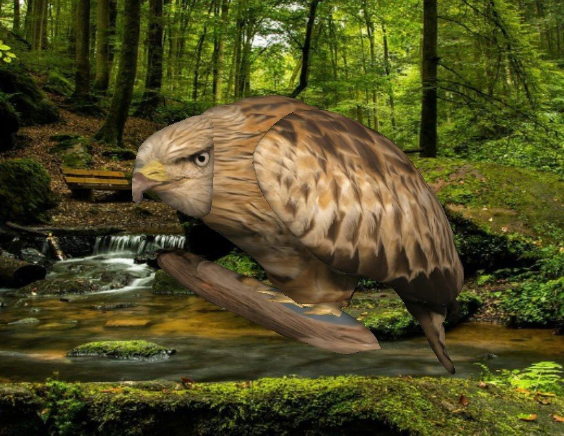 eagle 3D Model .c4d .max .obj .3ds .fbx .stl .blend 