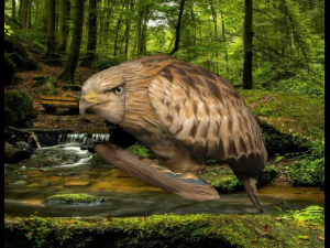 イーグル 3Dモデル