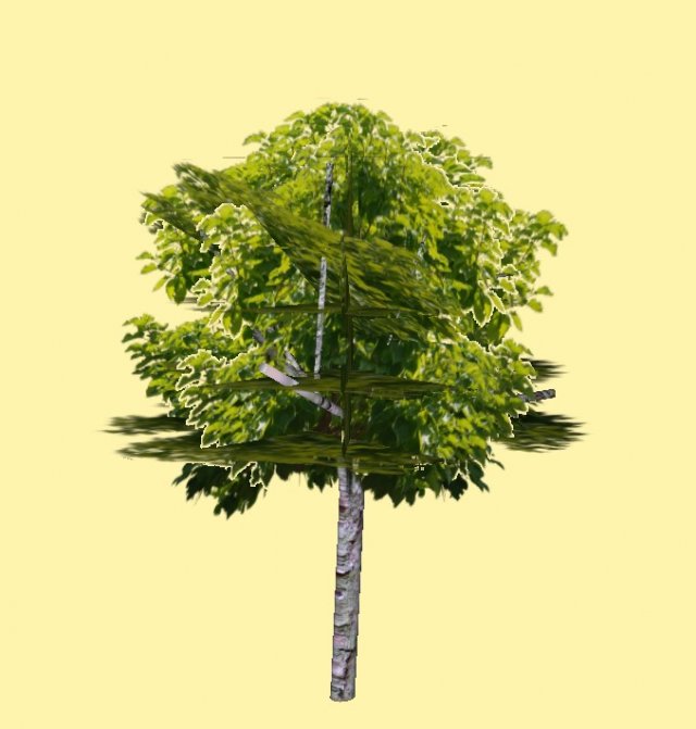 tree 3D Model .c4d .max .obj .3ds .fbx .stl .blend 