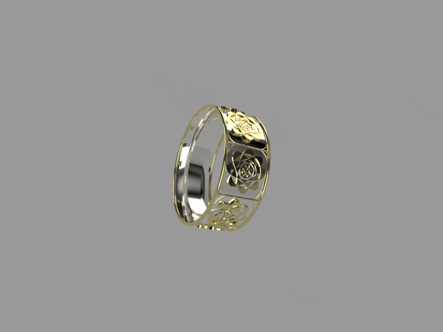 ring - sg Model 3D .c4d .max .obj .3ds .fbx .stl .blend 