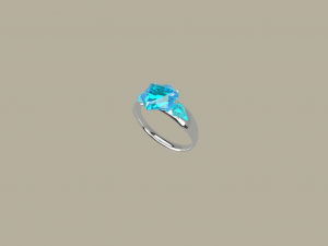 ring - mini2 3Dモデル