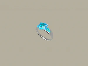 ring - mini2 3D Model