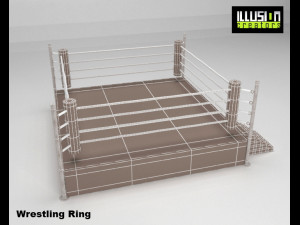 wrestling ring 3D Model