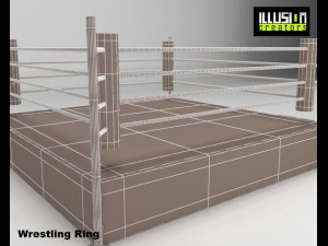 wrestling ring 3D Model