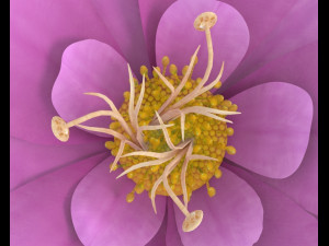 flower 3D Модель