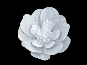 flower 3D Модель