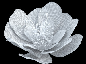 flower 3D Модель