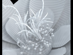 flower 3D Модель