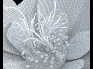 flower 3D Model