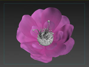 flower 3D Model