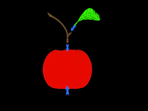 사과 3D 프린트 모델