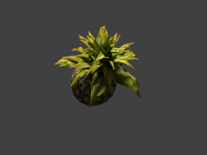 pineapple 3D मॉडल