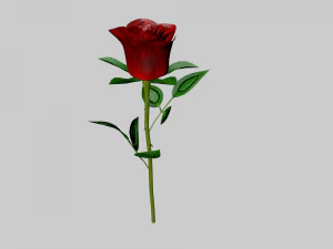 a rosa Modelo 3D