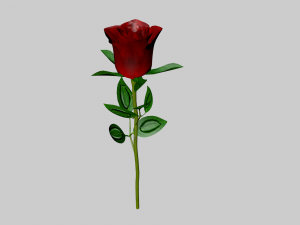 the rose Modelo 3D