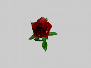 the rose Modelo 3D