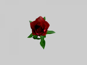 the rose 3D Model