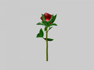 the rose Modelo 3D