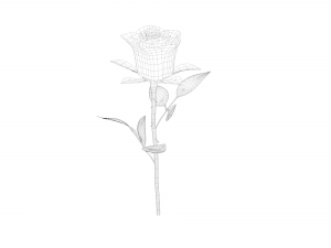 the rose Modelo 3D