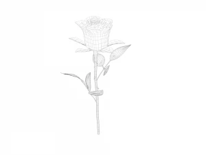 the rose 3D Model