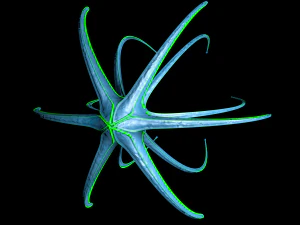 alien spaceship 3D Model