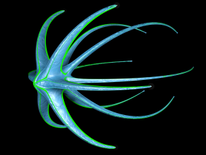 alien spaceship 3D Модель