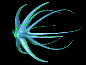 alien spaceship 3D Model